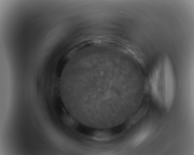 X0000094930431200712061133