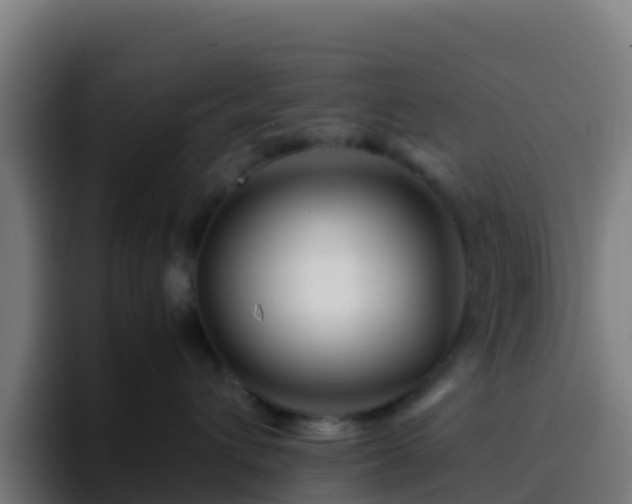 X0000094930432200712061133