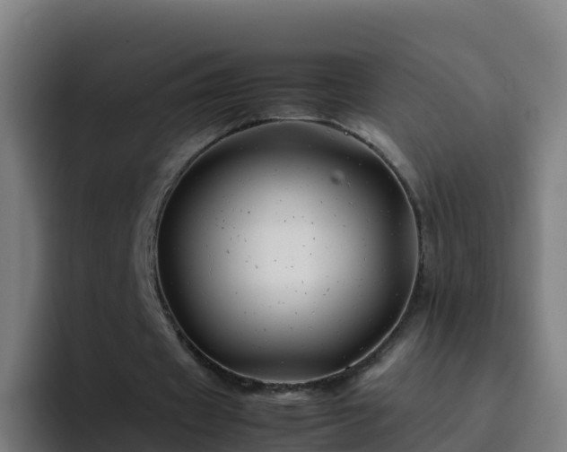 X0000094930433200712061132