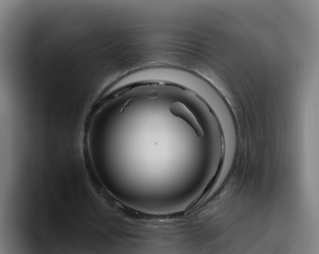 X0000094930434200712061132