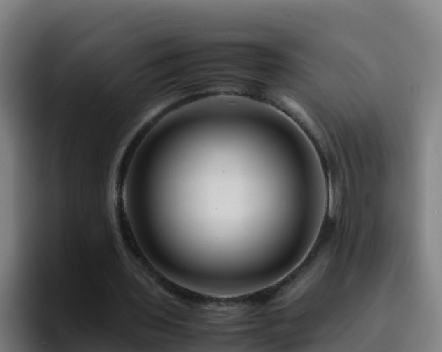 X0000094930435200712061132