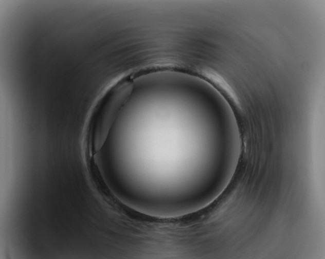 X0000094930436200712061132