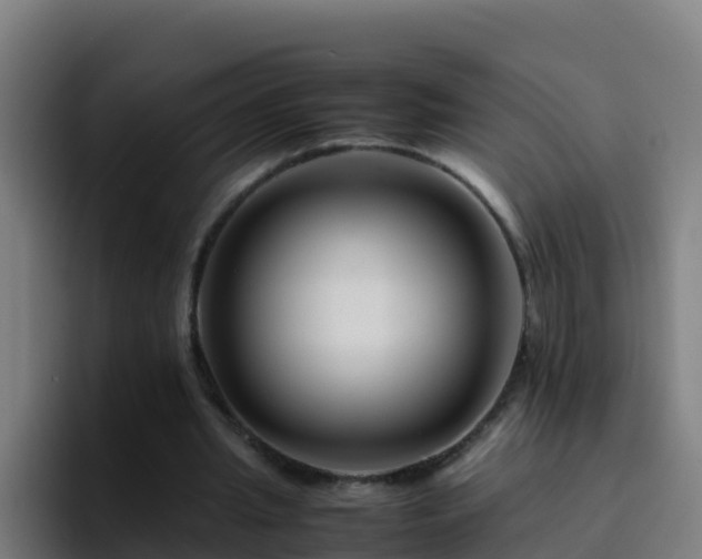 X0000094930437200712061132