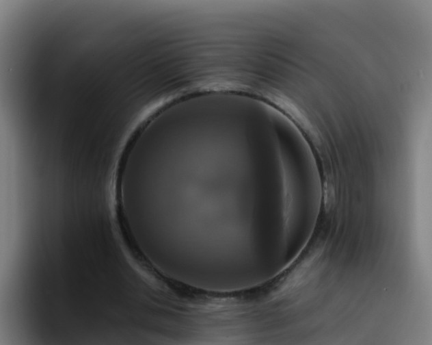 X0000094930438200712061132