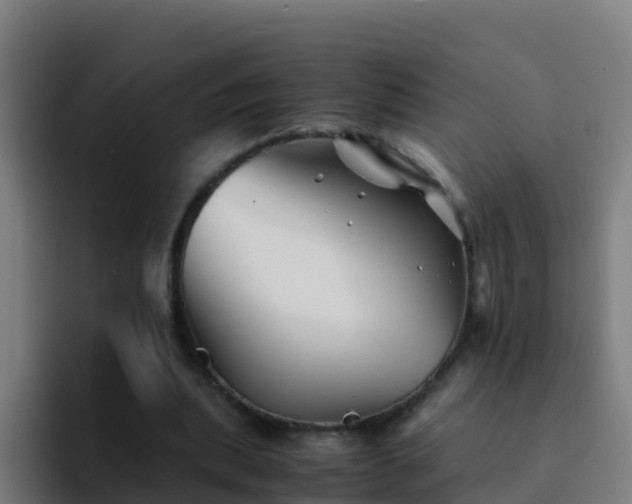 X0000094930439200712061132