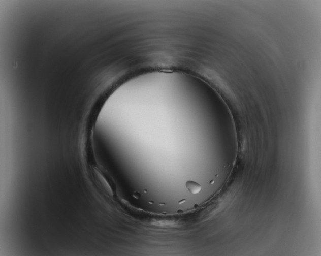 X0000094930440200712061132