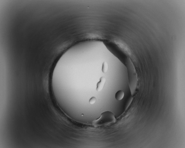 X0000094930442200712061132
