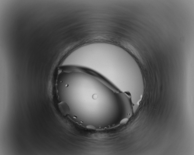 X0000094930444200712061132