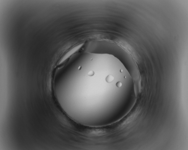 X0000094930445200712061132