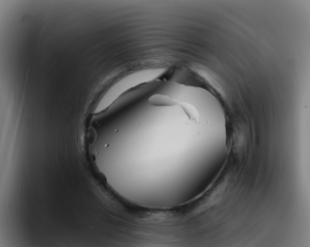 X0000094930446200712061132