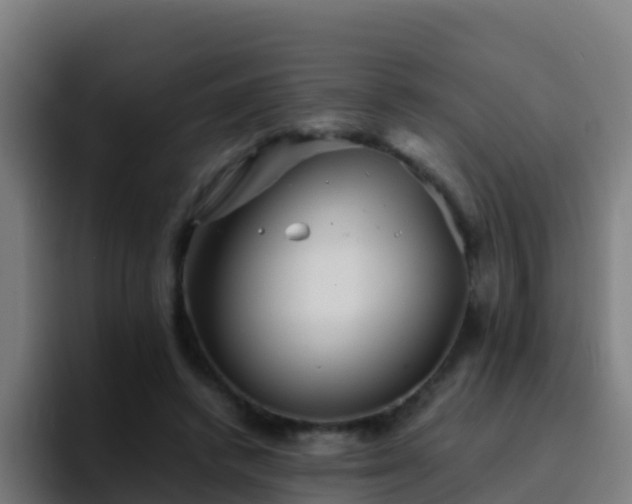 X0000094930448200712061132