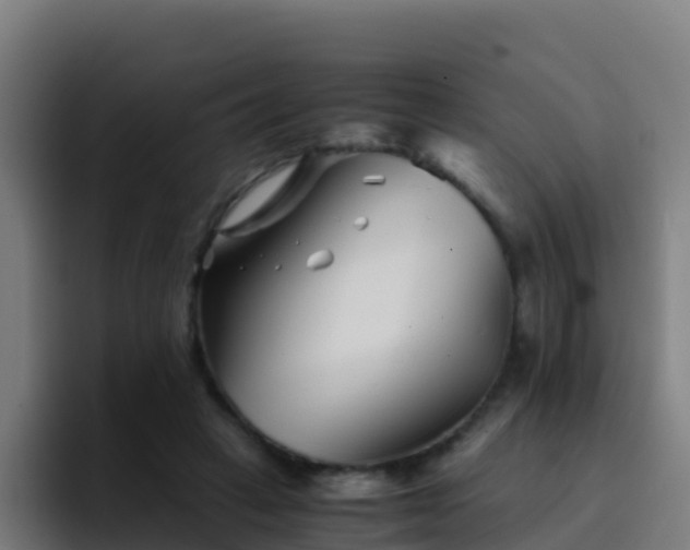 X0000094930449200712061132