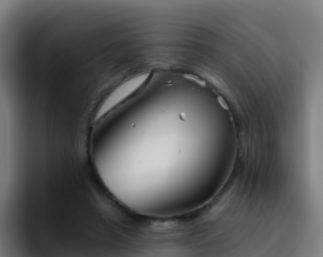 X0000094930450200712061132