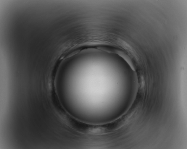 X0000094930452200712061132