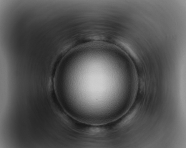 X0000094930453200712061132