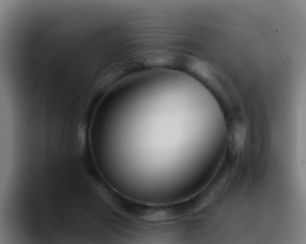 X0000094930454200712061132