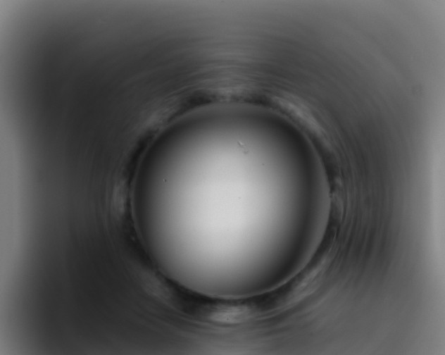 X0000094930458200712061132