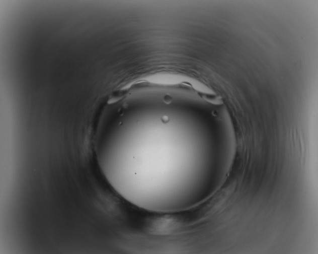 X0000094930460200712061132
