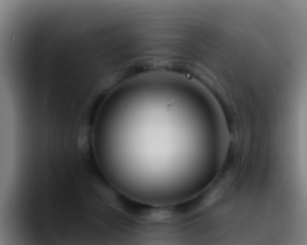 X0000094930462200712061132