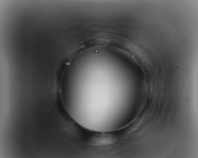 X0000094930463200712061132