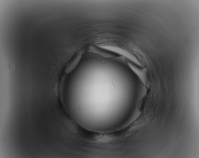 X0000094930465200712061132