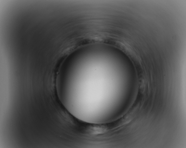 X0000094930466200712061132