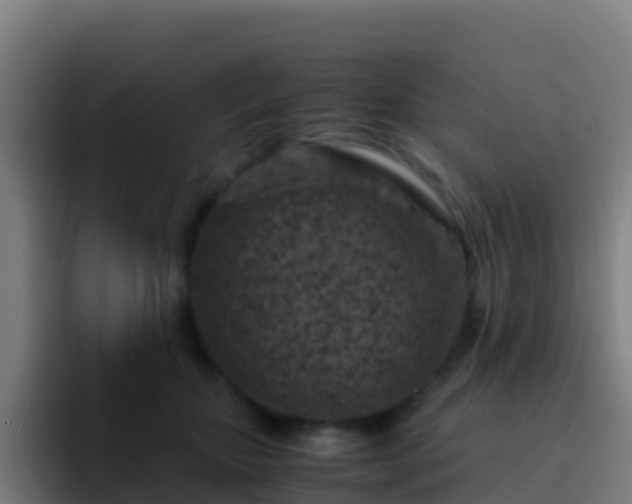 X0000094930467200712061132