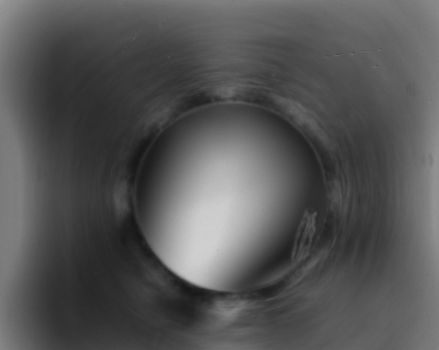 X0000094930470200712061132
