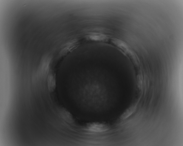 X0000094930471200712061132
