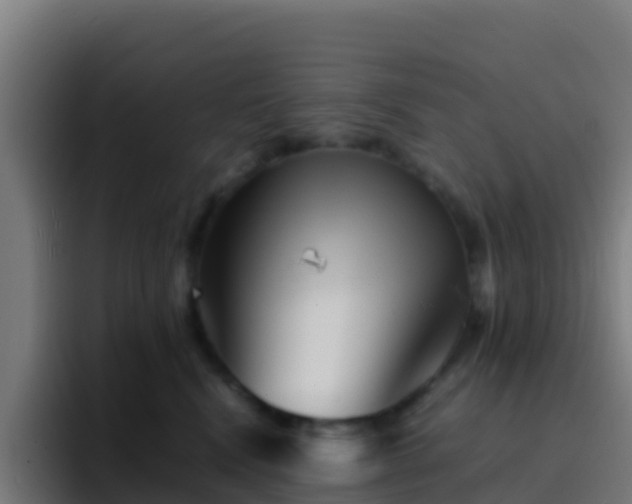 X0000094930472200712061132