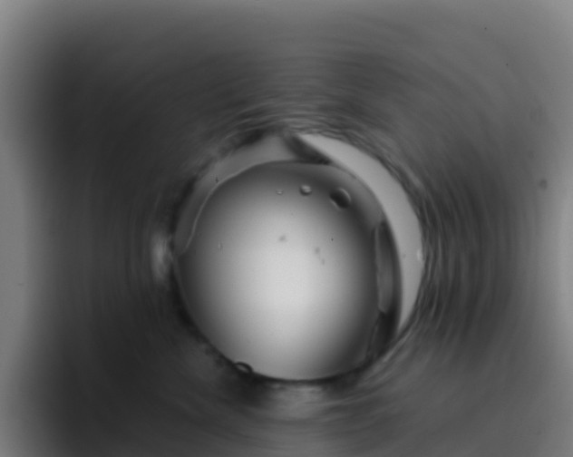 X0000094930476200712061132