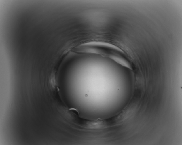 X0000094930479200712061133