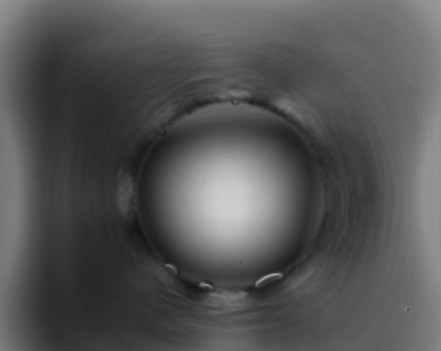 X0000094930480200712061133