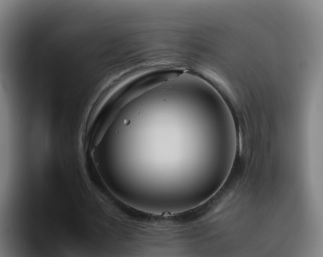 X0000094930483200712061132