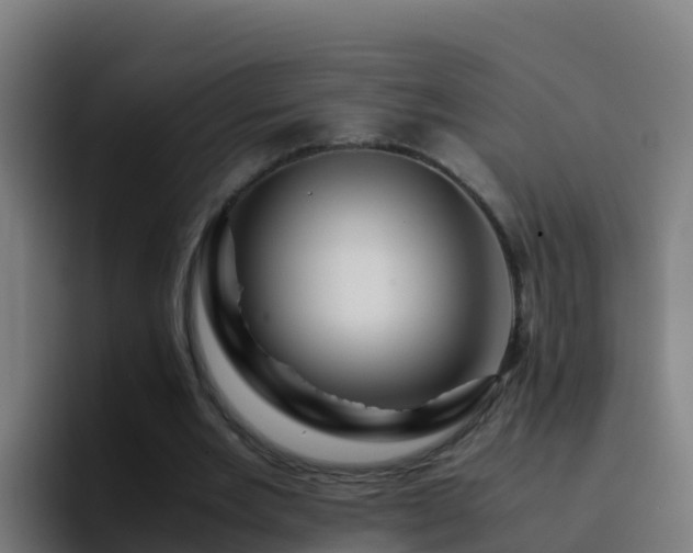 X0000094930485200712061132