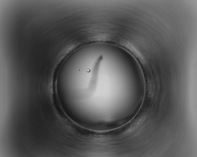X0000094930486200712061132