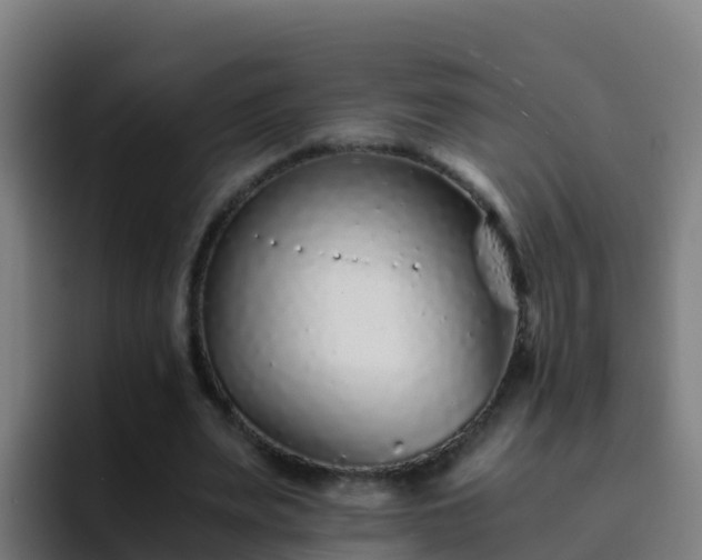 X0000094930487200712061132