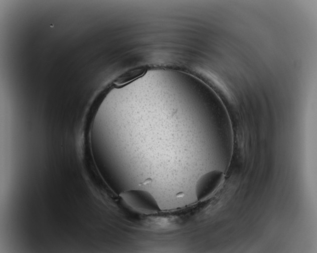 X0000094930488200712061132