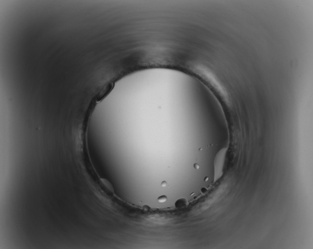 X0000094930489200712061132