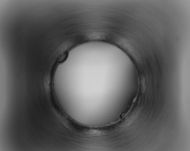 X0000094930490200712061132