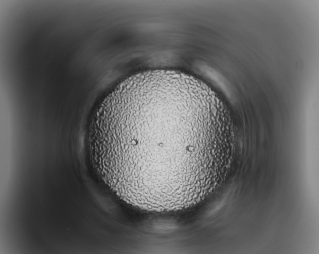X0000094930491200712061132