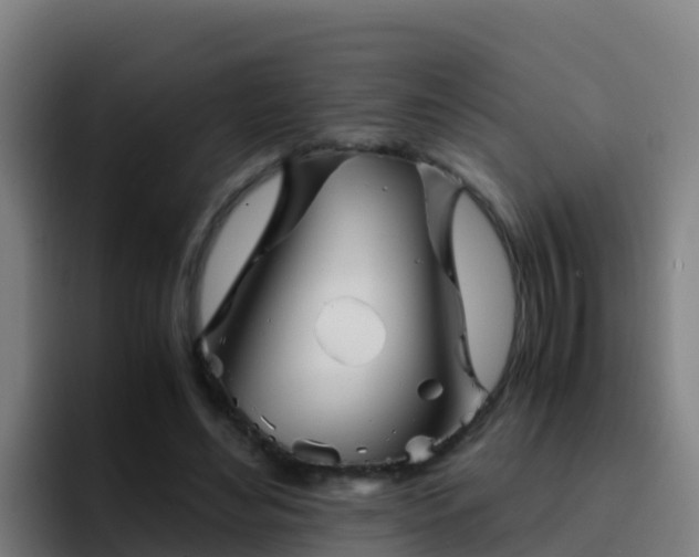 X0000094930492200712061132