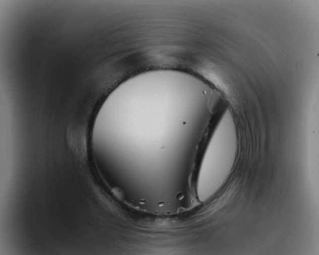 X0000094930493200712061132