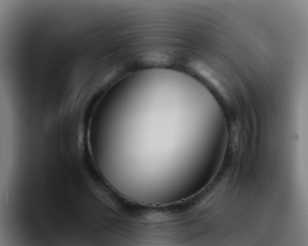 X0000094930494200712061132
