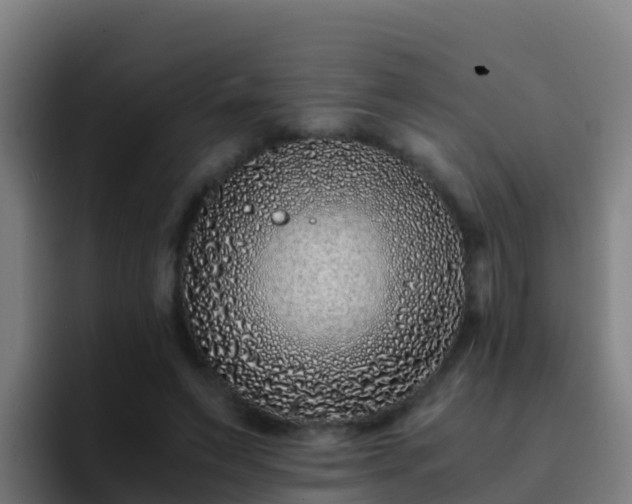 X0000094930495200712061132