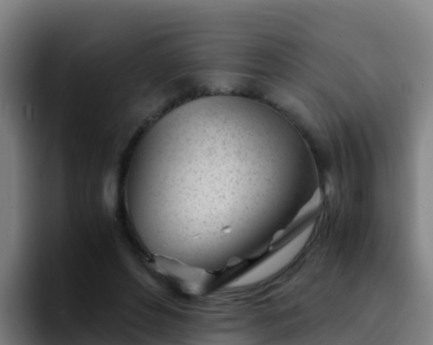 X0000094930496200712061132