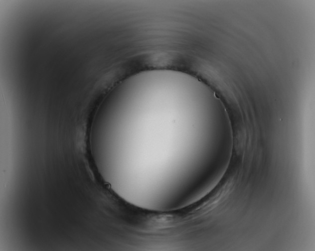 X0000094930497200712061132