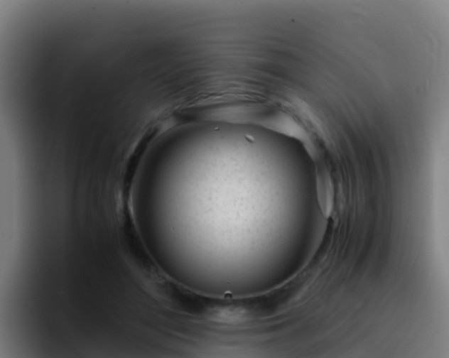 X0000094930500200712061132