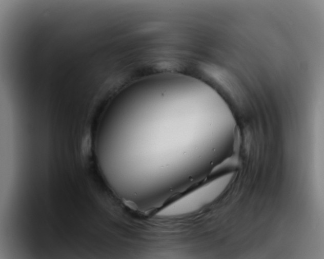 X0000094930502200712061132
