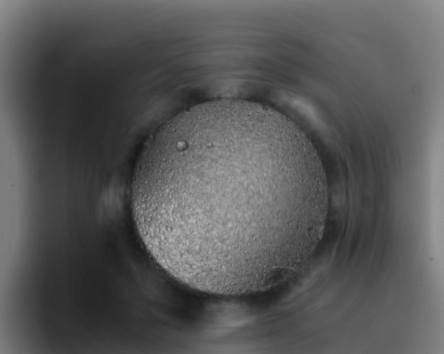 X0000094930503200712061132